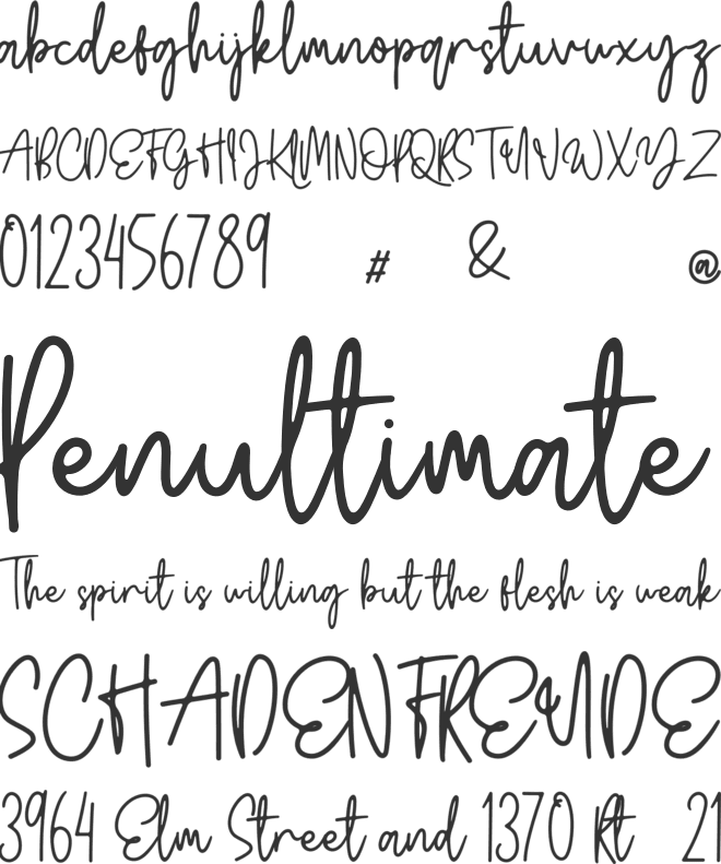 Wildy Sign font preview