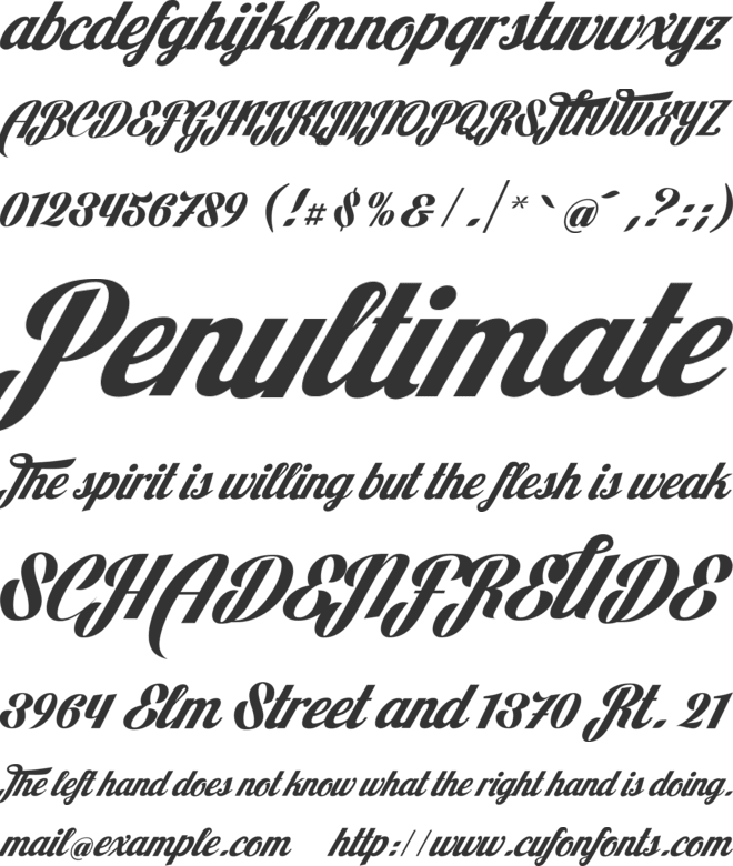 MustangW01- font preview