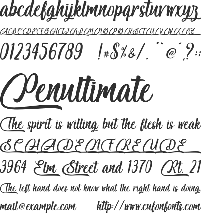 Salmon White - Personal Use font preview