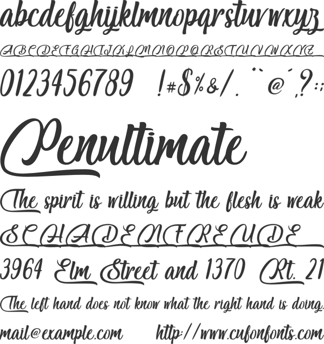 Salmon White - Personal Use font preview