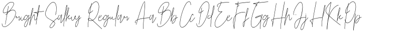 Bright Salkiy Regular font