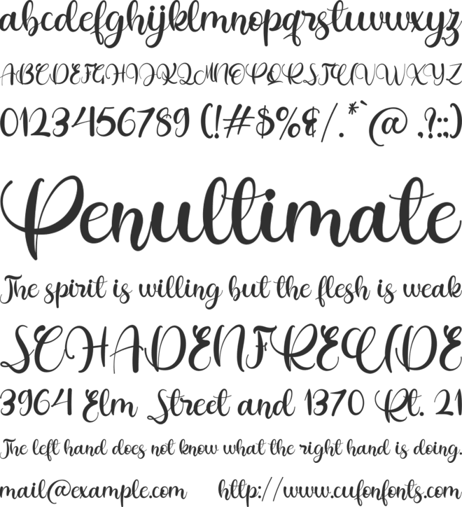 Summer Tropical Personal Use font preview