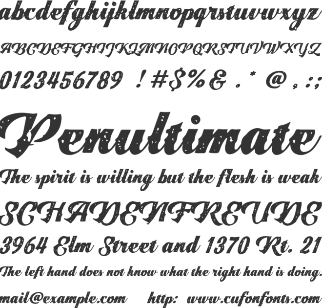 Tom Harvey Script font preview