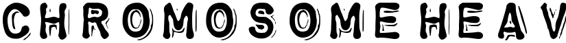 ChromosomeHeavy Regular font