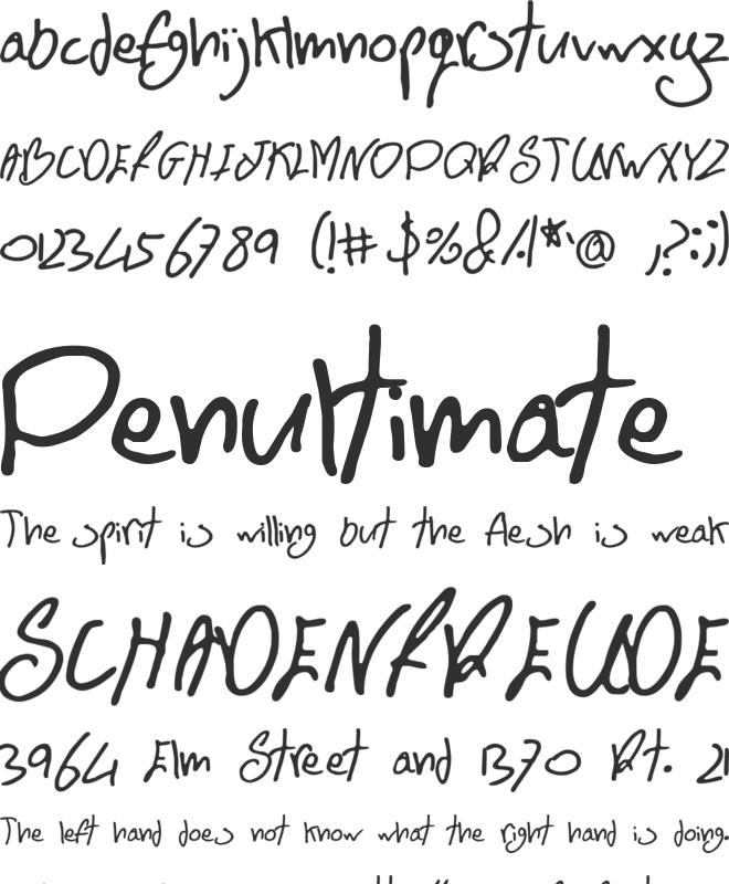 BN FontBoy font preview