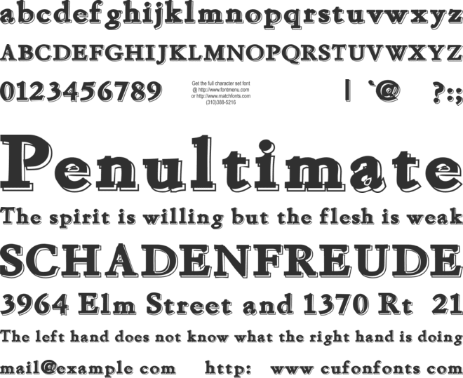 Chapou Relief Tryout font preview