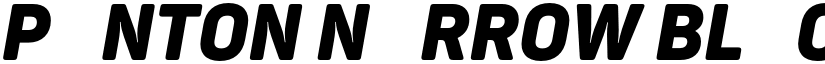 Panton Narrow Black Italic Caps font
