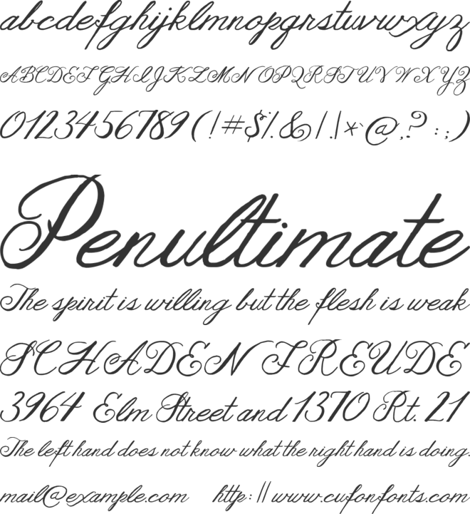 Janda As Long As You Love Me font preview