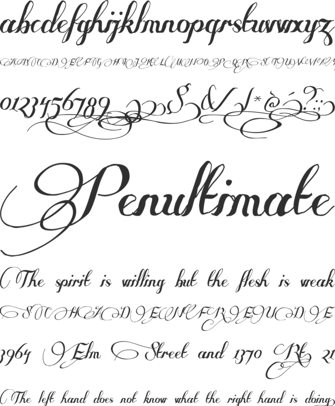 Some Weatz Swashes font preview