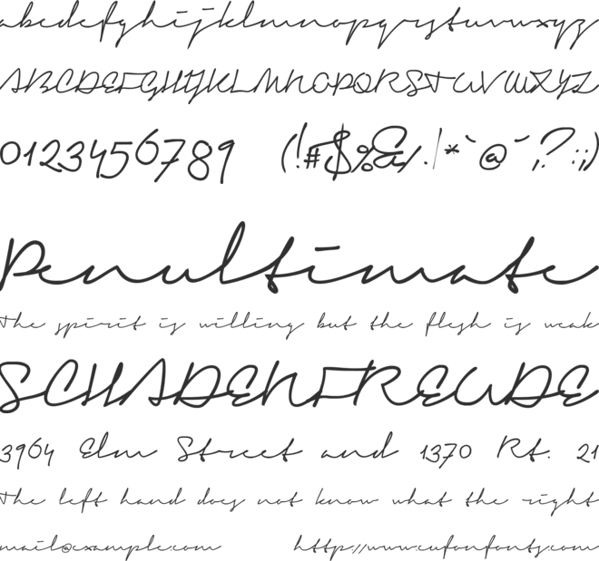 Signerica Fat font preview
