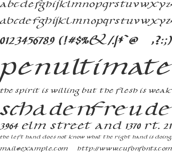 CarolusKlein-Oblique font preview