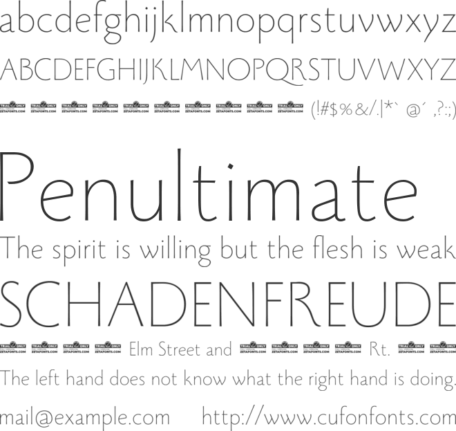 Monterchi Trial font preview