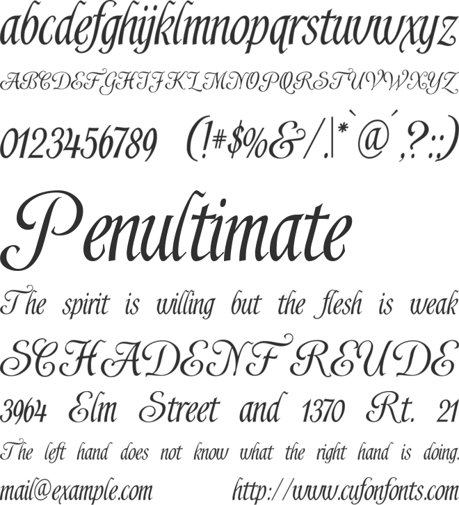 Shardee font preview