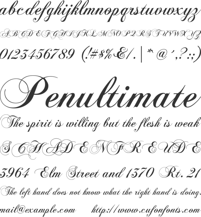 Flaemische Kanzleischrift font preview