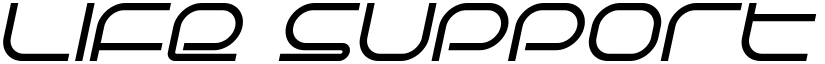 Life Support Italic font