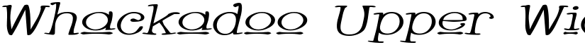 Whackadoo Upper Wide font download