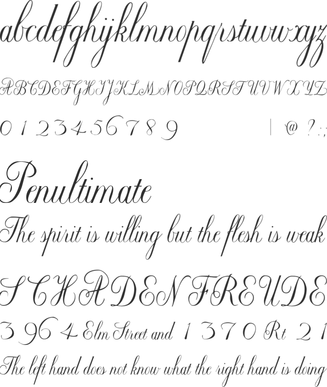 Willegha (Unregistered) font preview