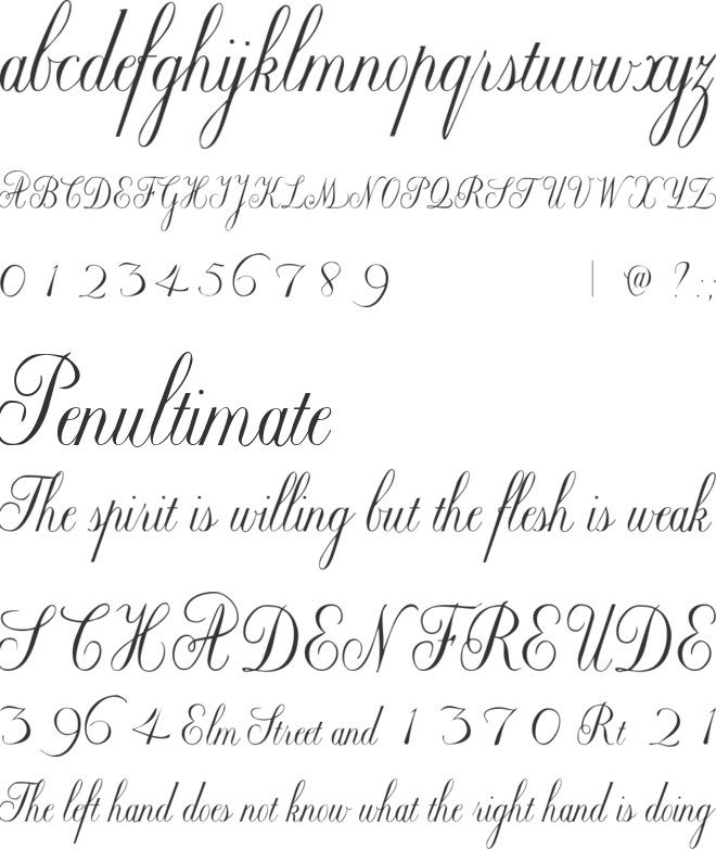 Willegha (Unregistered) font preview