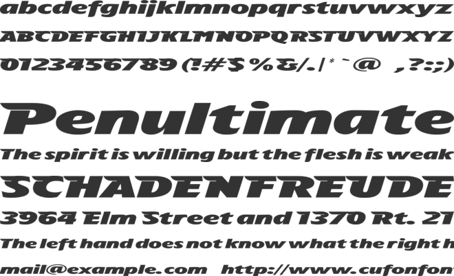 The Aeroplane Flies High font preview