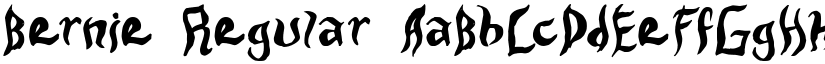 Bernie Regular font
