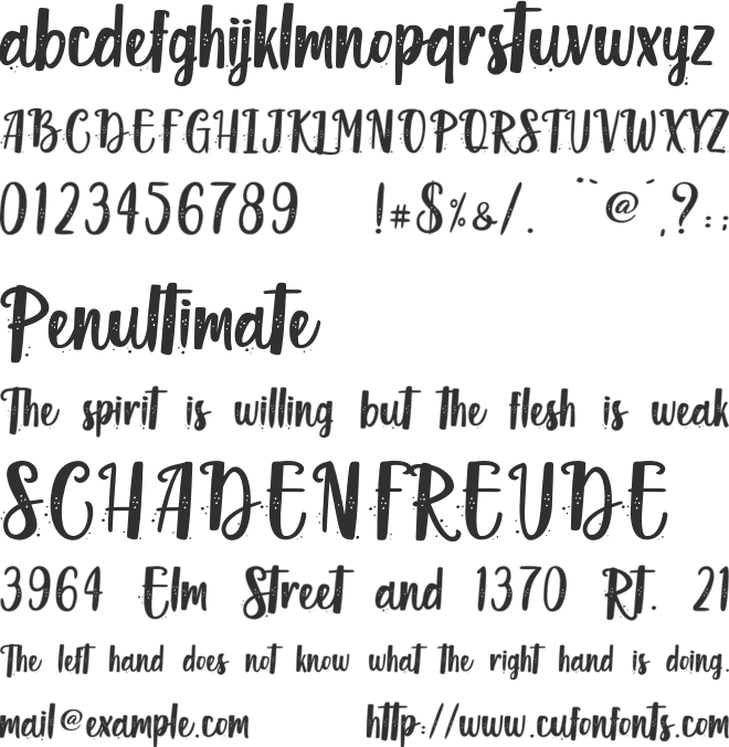 Blisk Rhythm - Personal Use font preview