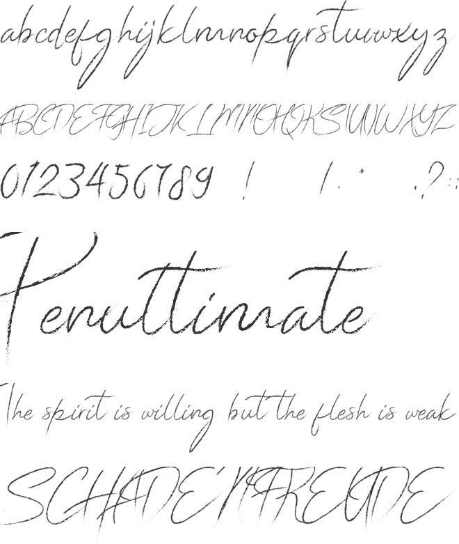Donatella font preview