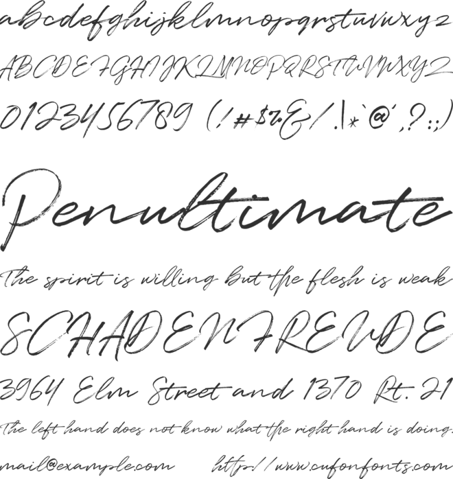 Quentin font preview