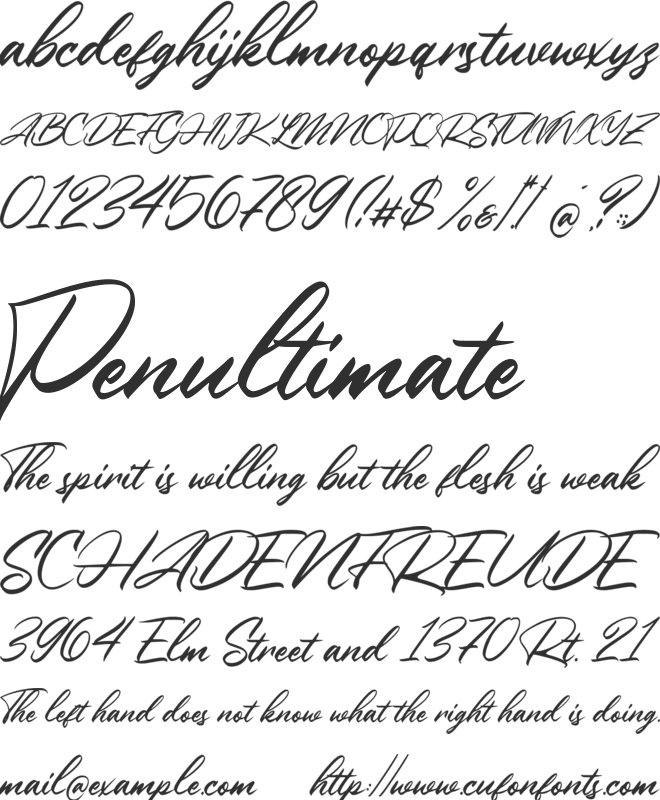 Winsberg font preview