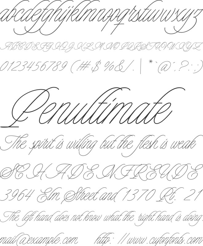 Charmline Script Personal Use font preview