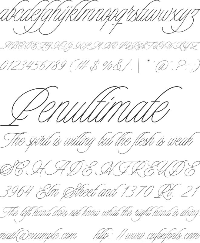 Charmline Script Personal Use font preview