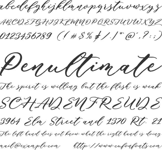 Puniko Rough font preview