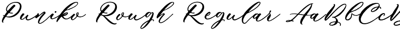 Puniko Rough Regular font