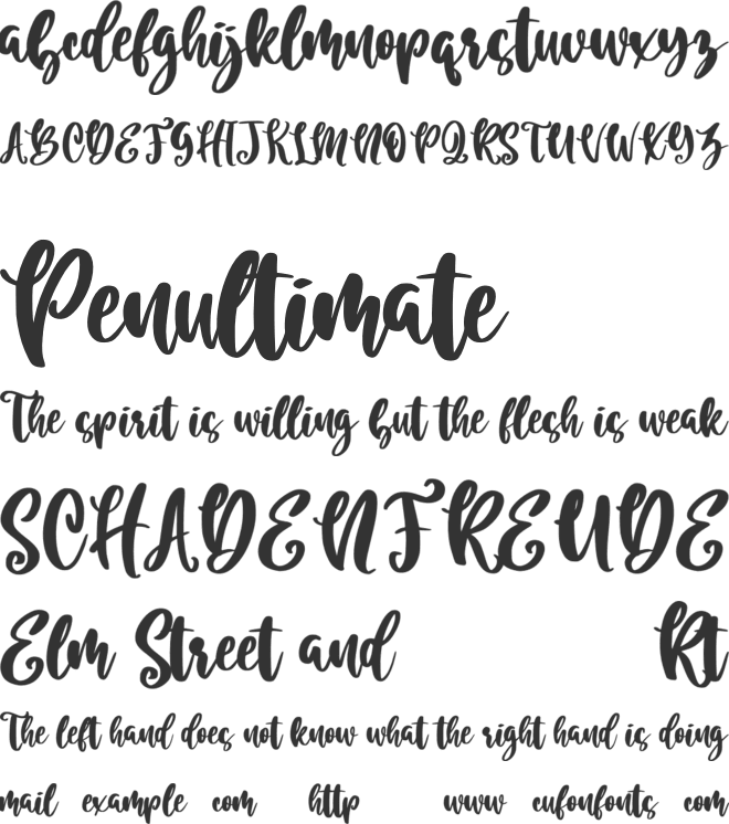 Blue Rose font preview