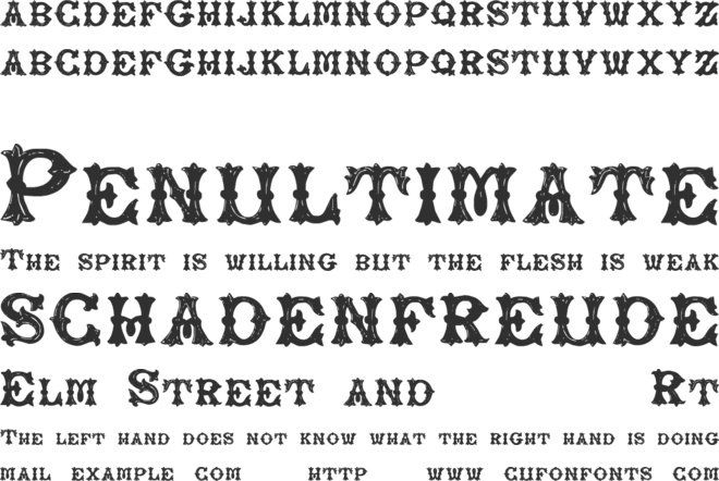 Rough Tuscan font preview