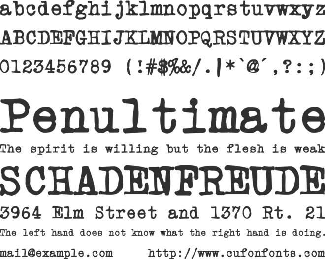 Powderfinger Type font preview