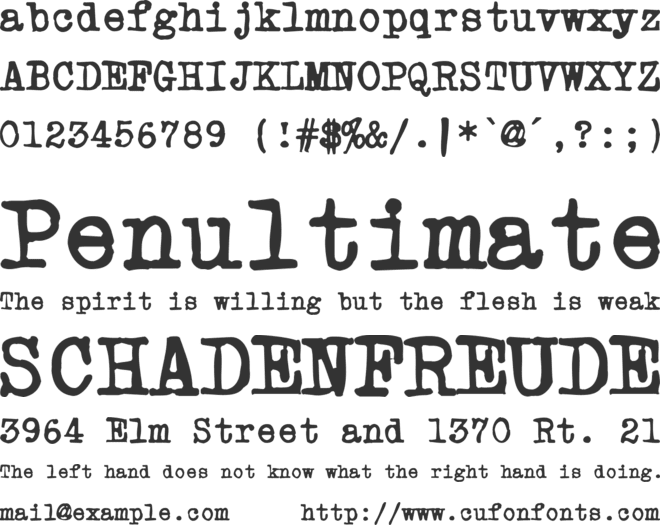 Powderfinger Type font preview