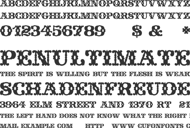 Wild West Wind font preview
