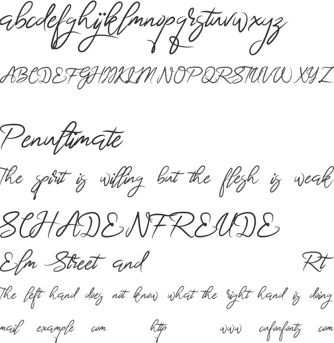 BrightnesSignature font preview