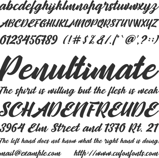 Camping font preview