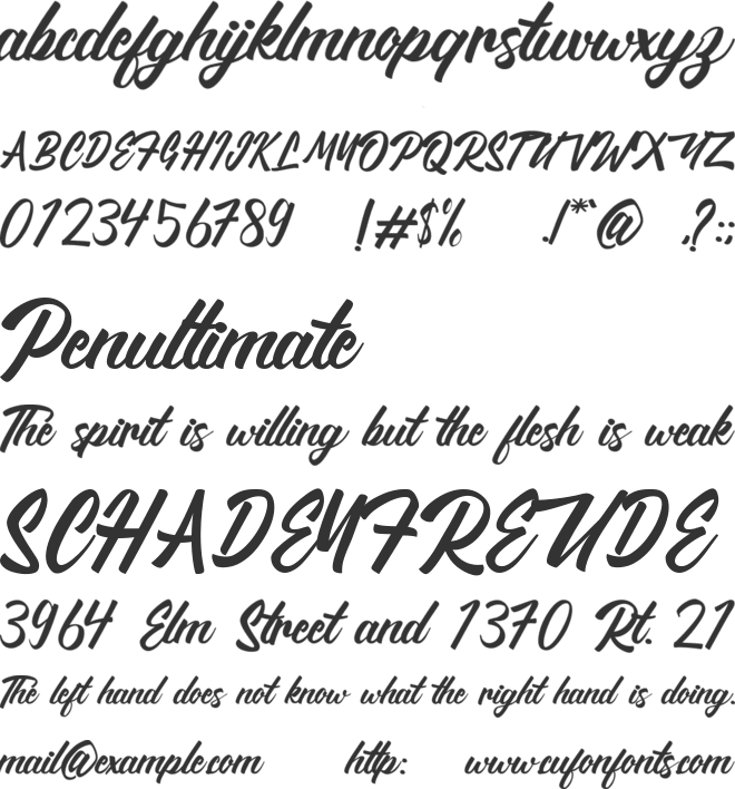 Brady font preview