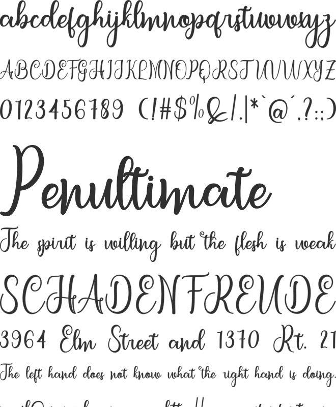 letterbest font preview