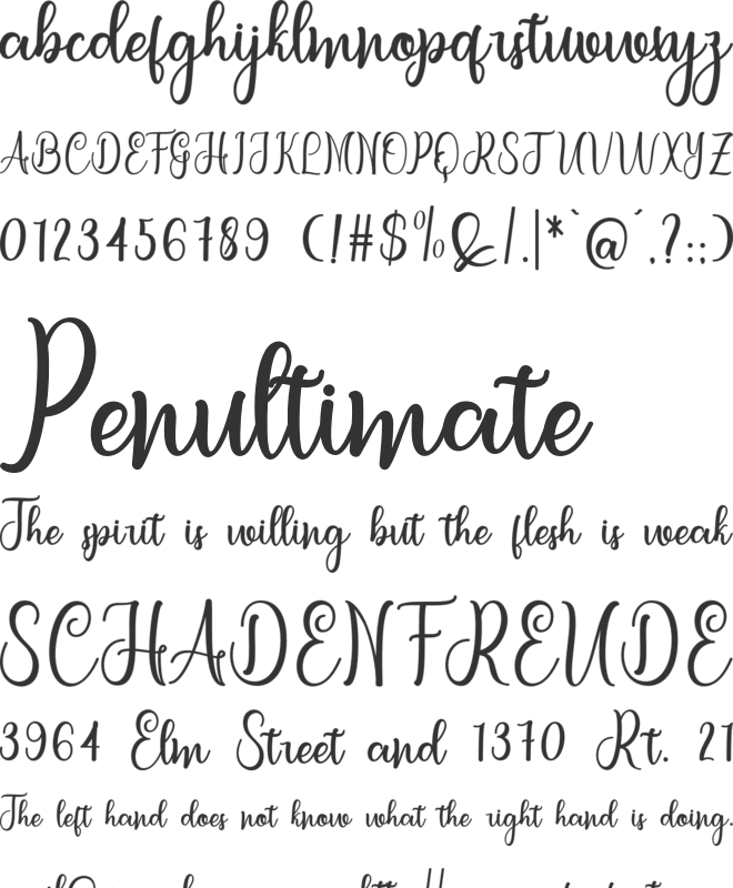 letterbest font preview