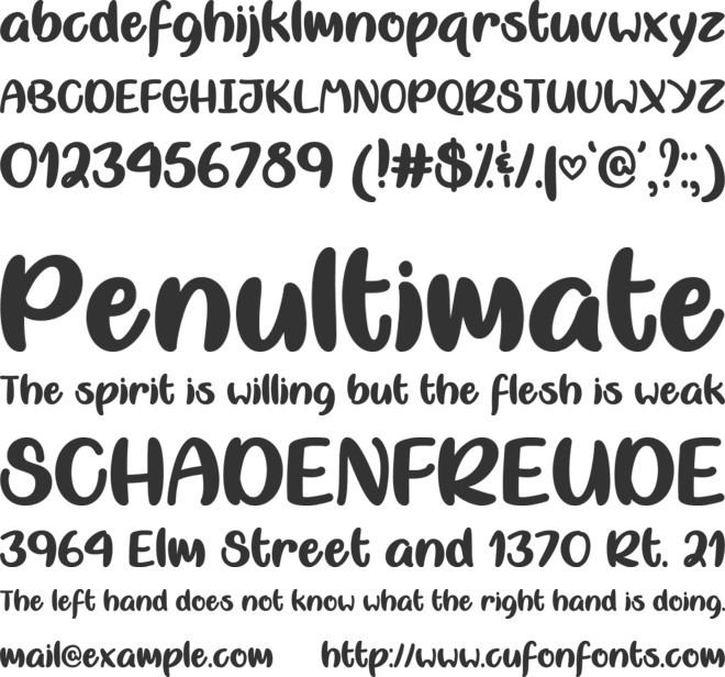 Misti Nicole font preview