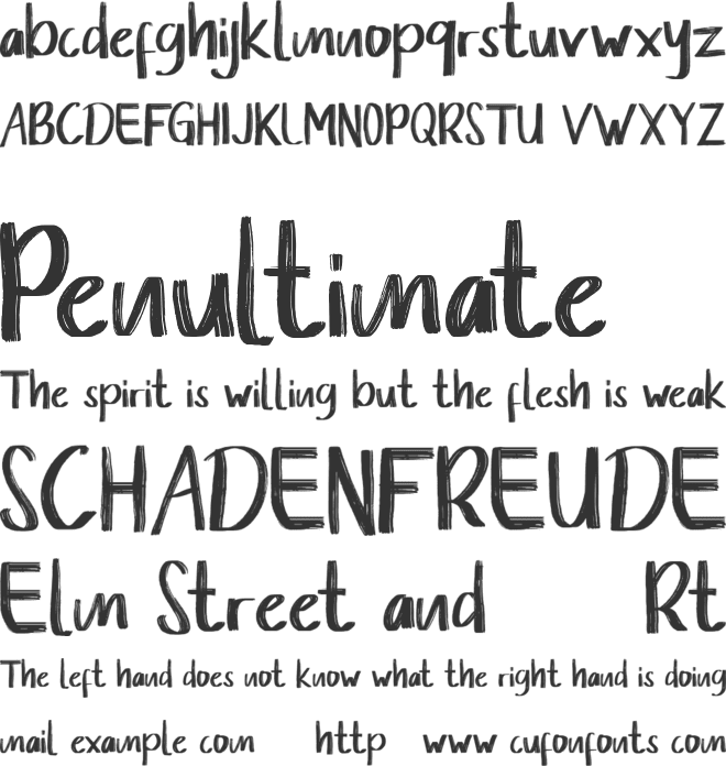 Senorita font preview