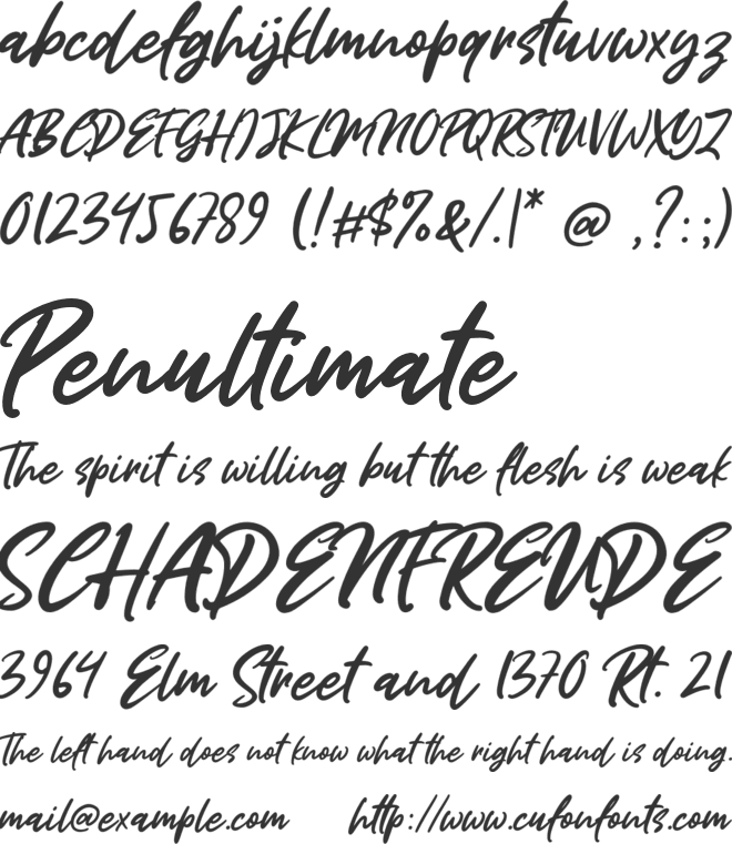 Miss Rhinetta font preview