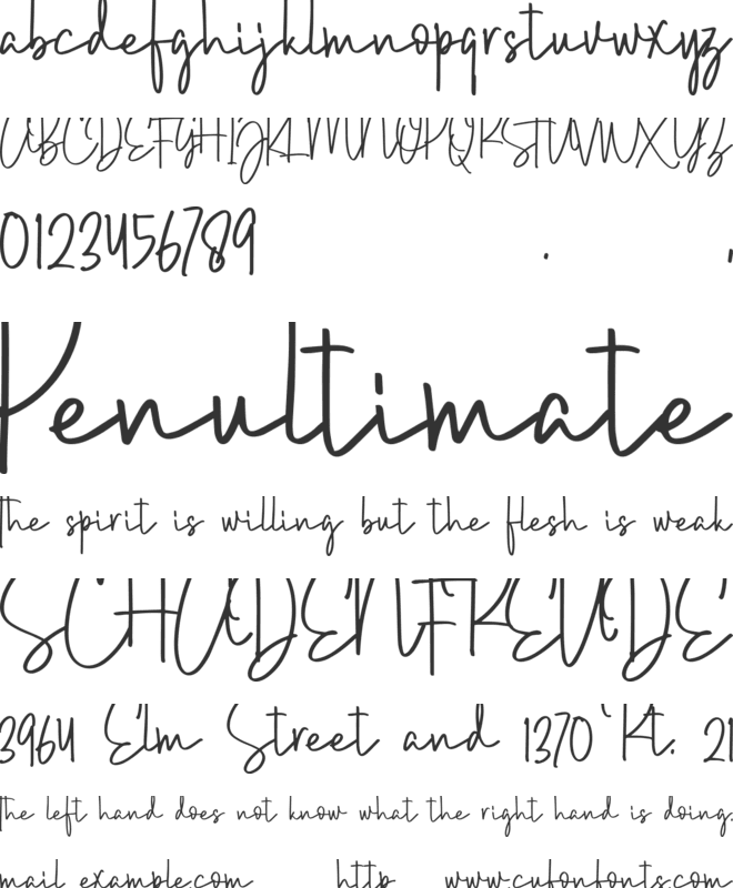 Brush Wayne font preview
