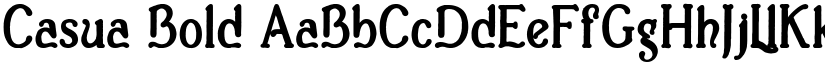 Casua_Bold font