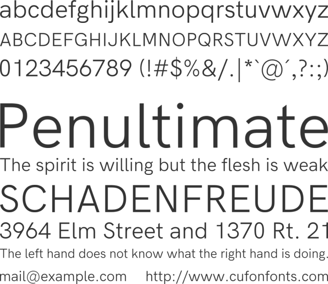 Acari Sans Neue font preview