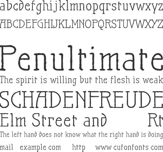 Maiers Nr.21 Pro font preview