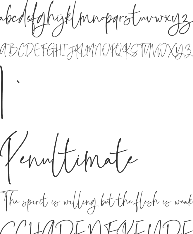 Bottomland font preview